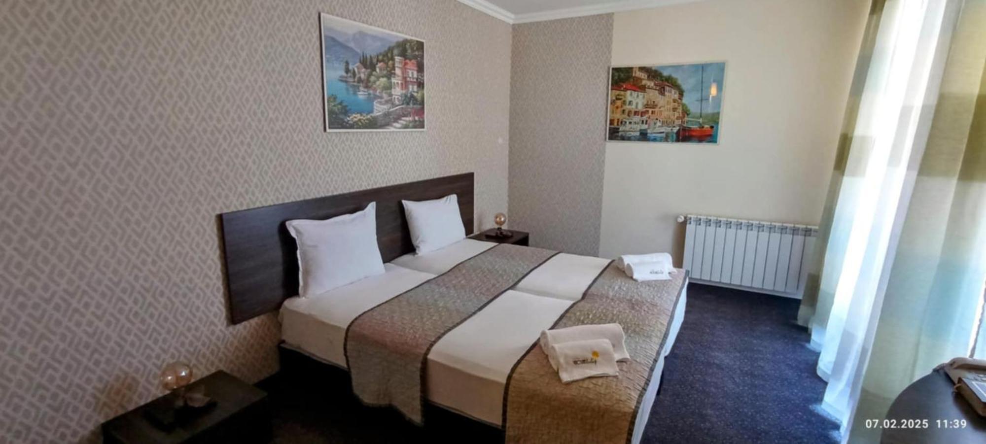Vitoshko Lale Hotel Sofia Ngoại thất bức ảnh